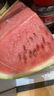正宗寧夏中衛(wèi)硒砂瓜 石頭縫長出的大西瓜 甘甜可口 新鮮水果 熱賣 22-24斤/個（小果嘗鮮越大越甜） 曬單實拍圖