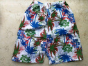 【沙灘速干褲】男士速干短褲寬松五分漂流沖浪海邊游泳 偏藍色混發(fā) 均碼 曬單實(shí)拍圖
