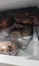 綠之邦（Luzhibang） 內蒙古牛棒骨2.4斤凈重 新鮮黃牛肉牛骨頭牛骨髓帶肉火鍋食材 曬單實(shí)拍圖