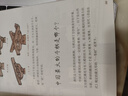 贈古建成語(yǔ)手冊 有趣的中國古建筑 隨書(shū)送明信片 古建筑海報 榮獲文津圖書(shū)獎，百萬(wàn)粉絲博主楊爸圖說(shuō)重磅作品，古建筑趣味入門(mén)讀物 曬單實(shí)拍圖