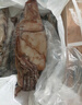 美加佳 冷凍魷魚(yú)須1斤*2袋 火鍋燒烤食材 鐵板魷魚(yú) 燒烤食材 海鮮水產(chǎn) 曬單實(shí)拍圖