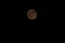 適馬（SIGMA）100-400mm F5-6.3 DG DN OS遠攝變焦鏡頭 適馬100-400全畫(huà)幅無(wú)反微單長(cháng)焦鏡頭 100400打鳥(niǎo)風(fēng)光人像索尼E卡口官方標配【12期免息+0元升級套餐一】 曬單實(shí)拍圖
