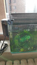 亞峰魚(yú)缸過(guò)濾器過(guò)濾循環(huán)水泵制氧一體機小魚(yú)缸壁掛式小型三合一瀑布式 5W超靜節能/35CM內缸用 曬單實(shí)拍圖