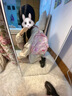 三麗鷗（SANRIO）美樂(lè )蒂甜美可愛(ài)少女心背包ins小清新碎花雙肩包女 美樂(lè )蒂碎花書(shū)包 標準 曬單實(shí)拍圖