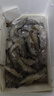 蝦有蝦途青島大蝦無(wú)冰新鮮海蝦白蝦鮮活冷凍大蝦批發(fā)3.6斤凈重 青島大蝦 3.6斤(凈重)  只只分離 18-20cm【超大蝦皇】無(wú)冰 曬單實(shí)拍圖