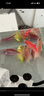 坤寧王*高錳酸鉀養(yǎng)魚(yú)專(zhuān)用溶液魚(yú)缸消毒殺菌凈水烏龜魚(yú)池塘水族高猛酸甲 曬單實(shí)拍圖