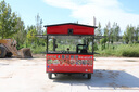 通碩小吃車餐車商用餐廳移動(dòng)多功能電動(dòng)四輪流動(dòng)炸串?dāng)[攤定制快餐車 曬單實(shí)拍圖