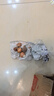 春枝韻郁金香種球水培5度球花卉綠植種子土培植物水養盆栽室內室外耐寒 莊園紅 紅色印象5球+2包肥料 曬單實(shí)拍圖