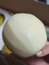 農果傳橙正宗蘇州樹(shù)山翠冠梨 樹(shù)山梨 皮薄脆甜冠梨蜜梨子孕婦中秋水果禮盒 9斤單果6-7兩禮盒裝【送禮佳品】 【金獎A級果 京東配送】 曬單實(shí)拍圖