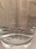 紅綠燈魚(yú)小型熱帶燈科魚(yú)活體草缸群游魚(yú)觀(guān)賞魚(yú)寶蓮燈斑馬魚(yú)孔雀魚(yú) 1.6cm左右紅綠燈5條 曬單實(shí)拍圖