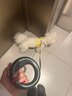 萌王星狗狗牽引繩中大型犬遛狗繩貓咪小犬狗繩柯基泰迪寵物狗鏈牽狗繩 Air黑/綠（輕便耐用） 牽引繩（牽引繩60斤內寵物適用) 曬單實(shí)拍圖