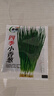 春蝶蔬菜種子四季播盆栽陽臺庭院黃瓜豆角番茄甜瓜易種籽孑大全 四季小香蔥【原裝1包 約800?！?一包(試種貴在快遞費) 曬單實拍圖