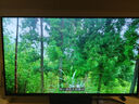 技嘉（GIGABYTE）27寸 第四代W-OLED電競顯示器 魔鷹Q280G 2K280Hz/0.03ms/TrueBlack500/1500nit/戰(zhàn)術(shù)輔助MO27Q28G 曬單實拍圖
