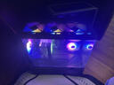 AMD銳龍R5 9600X組裝電腦RTX5060Ti/RX9060XT顯卡三角洲行動(dòng)游戲臺(tái)式電腦整機(jī)設(shè)計(jì)剪輯繪圖DIY組裝機(jī) 配置三 R5 9600X+RTX5060 8GB 主機(jī)套件 曬單實(shí)拍圖