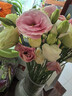 【洋桔?！繜o(wú)刺玫瑰鮮花云南直發(fā)鮮花混搭花束七夕情人節520禮物 隨機混色洋桔梗20-25個(gè)花苞 曬單實(shí)拍圖