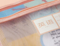 京東京造 雙層手提網(wǎng)紗拉鏈袋文件袋 一年級文具袋透明學(xué)科分類(lèi)袋 試卷作業(yè)科目袋 3個(gè)裝（語(yǔ)數英） 曬單實(shí)拍圖