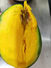 久雅優(yōu)鮮攀枝花凱特芒果 9斤四川特大青芒果新鮮熱帶水果當(dāng)季現(xiàn)摘 凈重4.5-5斤（單果8兩起） 曬單實(shí)拍圖