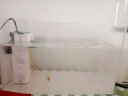 坤寧王超白玻璃魚缸桌面裸缸家用小型生態(tài)缸40魚缸造景客廳龜缸溪流缸 曬單實拍圖