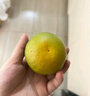 京鮮生 江西贛南臍橙早橙凈重4.5斤 單果130g+ 中秋水果 源頭直發(fā)包郵 曬單實拍圖