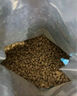 皇家幼貓貓糧 幼貓奶糕 K36 通用糧 4-12月 2KG 曬單實(shí)拍圖