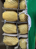 佳沛（zespri）新西蘭陽光金果 8個裝 特大果單果122-146g 中秋水果禮盒 獼猴桃 曬單實(shí)拍圖