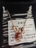 胖東來(lái)品質(zhì)輕奢彩金項鏈女玫瑰金兔子999銀2025新款吊墜小眾圣誕 B玫瑰金紅瑪瑙款項鏈(可調節鏈長(cháng) 曬單實(shí)拍圖