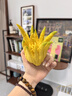辰實(shí)【現摘黃果】佛手柑 金華香櫞果 佛手果新鮮特產(chǎn)佛手鮮果供佛 1斤黃果【中果約2-3個(gè)】不帶枝丨推薦 曬單實(shí)拍圖