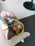 比比贊（BIBIZAN）多味花生400g約19包整箱 怪味豆干果堅果炒貨解饞下酒休閑零食品 曬單實(shí)拍圖