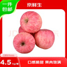 京鮮生 山東煙臺紅富士蘋(píng)果 凈重9斤 果徑80mm+ 新鮮水果 源頭直發(fā) 曬單實(shí)拍圖