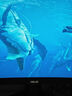 華碩VG34WQML5A 34英寸電競顯示器2K WQHD曲面帶魚(yú)屏HVA 250Hz高刷HDR400 95%DCI-P3廣色域HDMI2.1 曬單實(shí)拍圖