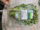 【富硒】香芹苗200g 曬單實(shí)拍圖