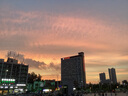 五臺(tái)山108顆六道木念珠手串平安轉(zhuǎn)運(yùn)降龍木佛珠文玩手鏈七夕送男友禮物 六道木108顆念珠串 曬單實(shí)拍圖