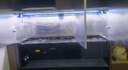 吉印魚(yú)缸燈原生爆藻燈led燈防水青苔全光譜波光粼粼石頭溪流缸水草燈 自然暖白光 116cm（適合116-125cm魚(yú)缸）25w 曬單實(shí)拍圖