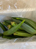 新鮮水果秋葵黃秋葵現(xiàn)摘現(xiàn)發(fā)生鮮蔬菜涼拌燒烤火鍋食材減肥瘦身 現(xiàn)摘鮮嫩秋葵（試吃裝） 500g 曬單實拍圖