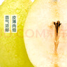 【產(chǎn)地直采】新疆庫爾勒香梨 約900g 單果100g+ 曬單實拍圖