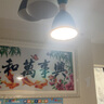 拉伯塔（LABOT）護眼led燈泡全光譜龍珠燈泡三色光學(xué)習臺燈球泡e27螺口 15w三色 曬單實(shí)拍圖