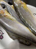 黃小漁寧德三去黃花魚(yú)600g/4條大黃魚(yú)生鮮海鮮水產(chǎn)深海魚(yú)類(lèi)燒烤食材中秋 曬單實(shí)拍圖