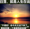 斑馬牌（ZEBRA）小楷 學(xué)生毛筆練字筆 書(shū)法筆請柬筆 WF1 銀灰筆桿 5支裝 曬單實(shí)拍圖