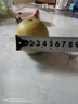 爾蝶秭歸臍橙湖北倫晚鮮橙臍橙子應(yīng)季生鮮水果新鮮孕婦手剝橙整箱送禮 精選9斤裝 凈重8.5斤 70-75mm 曬單實(shí)拍圖