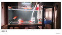 沃韋朗魚缸燈水草燈LED防水全光譜草缸水族夾燈 【多功能七色調(diào)光定時】G25-W 曬單實拍圖