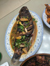 鱘食活凍石斑魚(yú)野外生長(cháng)海捕龍膽珍珠斑 老虎斑生鮮魚(yú)類(lèi)海鮮 石斑魚(yú)700-800g/條【買(mǎi)一送一】 曬單實(shí)拍圖