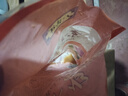 八瑞祥京味醬鴨 500g 北京特產(chǎn)鹵味熟食真空包裝下酒菜春游方便菜 曬單實(shí)拍圖