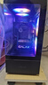 影馳 Intel i5 14600KF/14700KF/RTX5060TI/5070TI 電競直播暢玩三角洲游戲組裝電腦DIY全套主機 配置三 14600KF+RTX5060TI 16G 曬單實(shí)拍圖