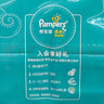 幫寶適（Pampers）超薄干爽拉拉褲男女通用綠幫成長(cháng)褲褲式嬰兒小內褲學(xué)步褲寶寶 加加加大碼3XL78【17kg以上】 曬單實(shí)拍圖