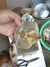 舟山梭子蟹鮮活特大野生大螃蟹新鮮冷凍海鮮水產(chǎn)海蟹飛蟹白蟹順豐 7-9兩/只【5斤凈重 特大肥壯】 曬單實(shí)拍圖