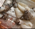 三去冰鮮三去墨魚仔200g 曬單實拍圖