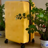 不萊玫行李箱拉桿箱男旅行箱大容量學(xué)生密碼箱26英寸 檸檬黃色 曬單實(shí)拍圖