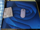 卓威奇亞（ZOWIE GEAR）G-SR-SE瀾II 電競鼠標墊 細面鼠標墊 游戲鼠標墊 控制墊 澀墊 電競桌墊  曬單實(shí)拍圖