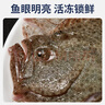 賣(mài)魚(yú)七郎 多寶魚(yú)凈重2.1斤共3條裝 海捕鮮活冷凍比目魚(yú)鰈魚(yú) 生鮮水產(chǎn)魚(yú)類(lèi) 曬單實(shí)拍圖