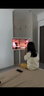 小度添添閨蜜機 Pro 4K Max  親子版 移動(dòng)智能平板電視32英寸大屏觸控顯示器 追劇健身K歌 閨蜜機Pro 4K Max【32寸8+256G 】 曬單實(shí)拍圖